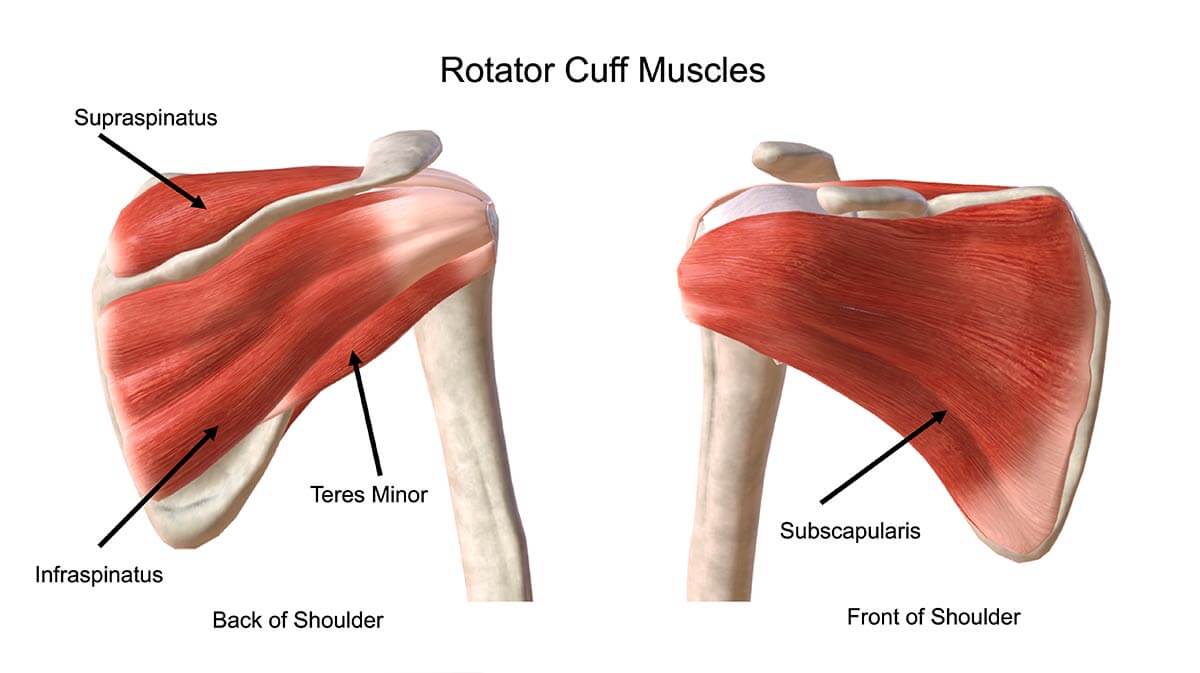 Partial Rotator Cuff Tears Diagnosis and Treatment – ISMI ...